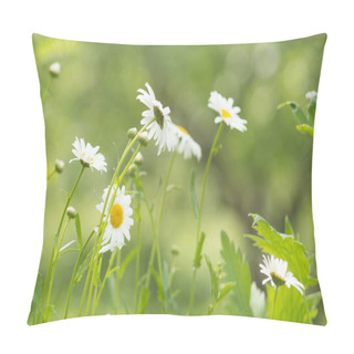 Personality  A Photo Of Camomile Flowers In A Garden. Selective Focus. Pillow Covers