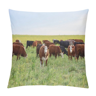 Personality  Cattle Raising  With Natural Pastures In Pampas Countryside, La Pampa Province,Patagonia, Argentina. Pillow Covers
