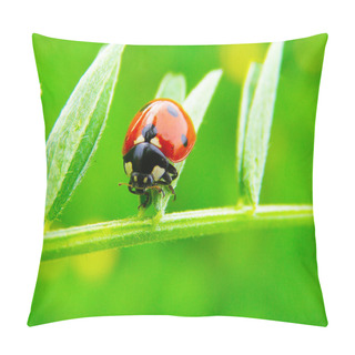 Personality  A Ladybug On A Green Grass Leaf Pillow Covers