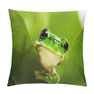 Personality  Frog Peeking Out Pillow Covers