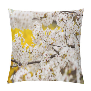Personality  Ornamental White Blooming Japanese Cherry Prunus Yedoensis During Flowering In A City Park In Spring In April. The Trees Are Densely Strewn With White Flowers Pillow Covers
