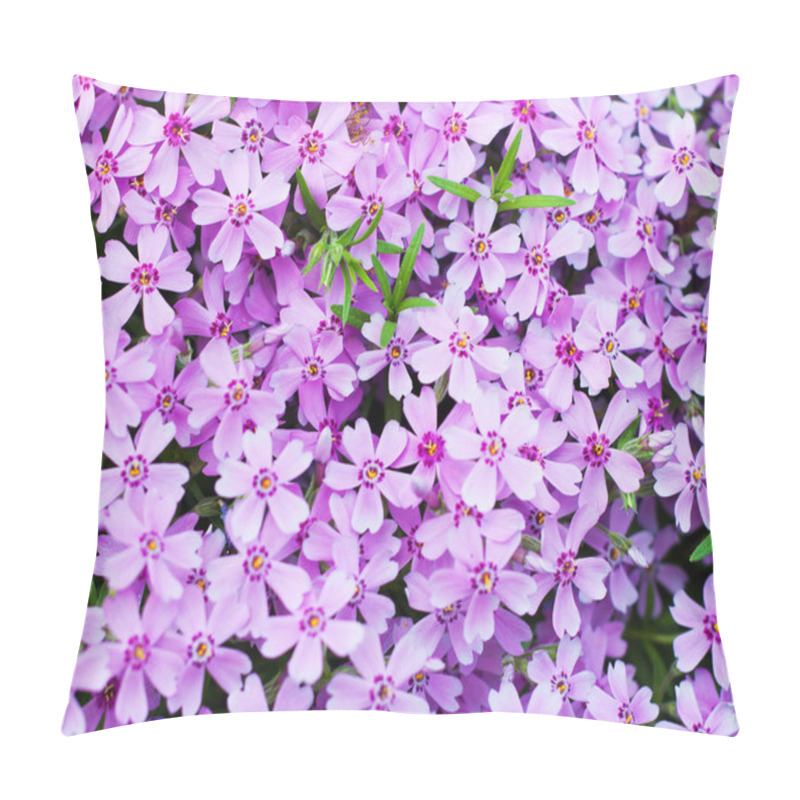 Personality  Spring Bloom pillow covers