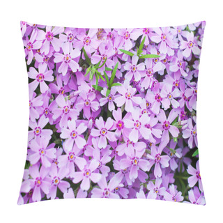 Personality  Spring Bloom Pillow Covers