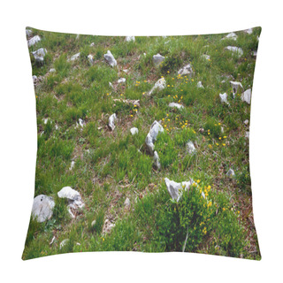 Personality  Rocks Karst Pillow Covers