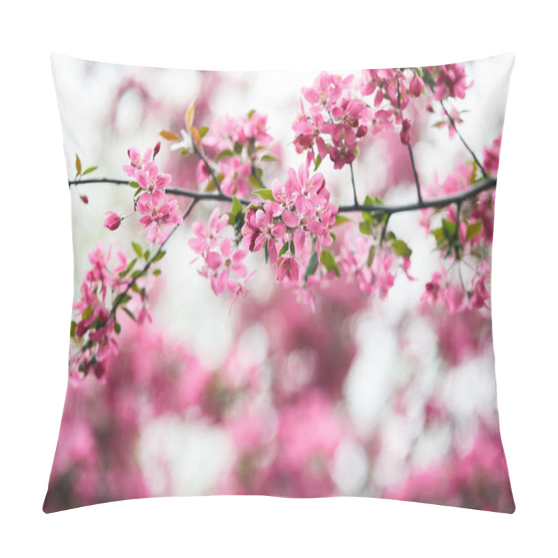 Personality  Close-up Shot Of Branch Of Aromatic Pink Cherry Flowers On Tree Pillow Covers
