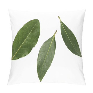 Personality  Three Leaves Of Laurel On A White Background Pillow Covers