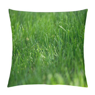Personality  Full Frame Of Empty Green Grass Background Pillow Covers