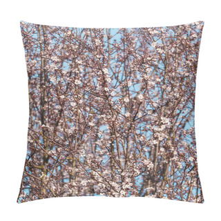 Personality  Blossoming Cherry Branches Against A Clear Blue Sky, Symbolizing The Arrival Of Spring And Renewal. Perfect For Concepts Of Growth, Natural Beauty, And Seasonal Change Pillow Covers