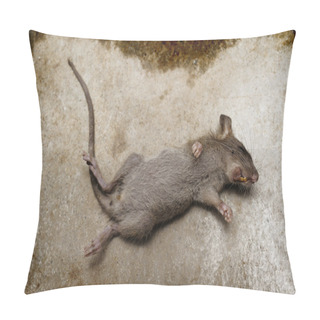 Personality  Rat Die On Ground Pillow Covers