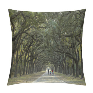 Personality  Family Strolling Under Canopy Of Live Oaks In American South Pillow Covers