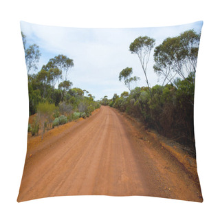 Personality  Off Road Track In The Outback Pillow Covers
