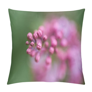 Personality  Selective Focus Of Beautiful Blooming Lilac Branch, Close-up View Pillow Covers