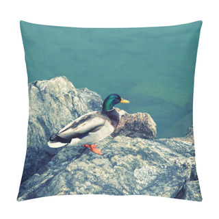 Personality  Duck On The Lake Geneva Pillow Covers