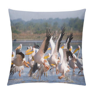 Personality  Flock Of Great Pelicans Pillow Covers