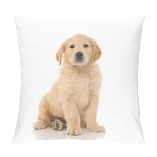 Personality  Cute Little Golden Retriever Dog Sitting And Looking At The Camera With Little Shiny Eyes On White Studio Background Pillow Covers