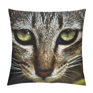 Personality  Close Up Pillow Covers