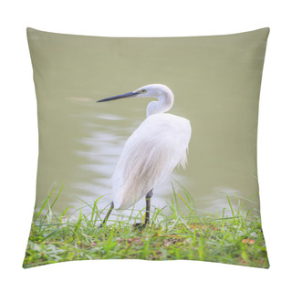 Personality  Animals In Wildlife - White Egrets. Pillow Covers