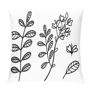 Personality  Collection Of Vector Illustrations Of Acacia. Branches, Leaves, Flowers Of Acacia. Hand-drawn Botanical Sketch. Thin Plant Outline, Black Doodle. Isolated Tree Illustration On White. Flora Elements. Monochrome. Pillow Covers