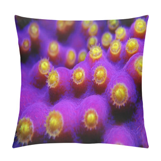 Personality  Underwater Macro Shot On Yellow Polyps From Purple Turbinaria Coral Pillow Covers