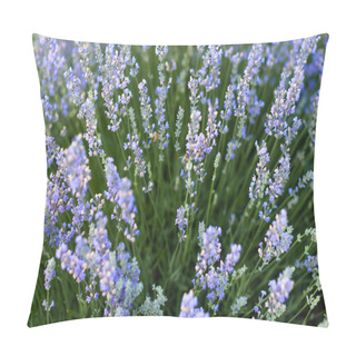 Personality  Purple Pillow Covers