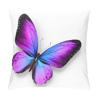 Personality  Violet Blue Butterfly , Isolated On White Pillow Covers