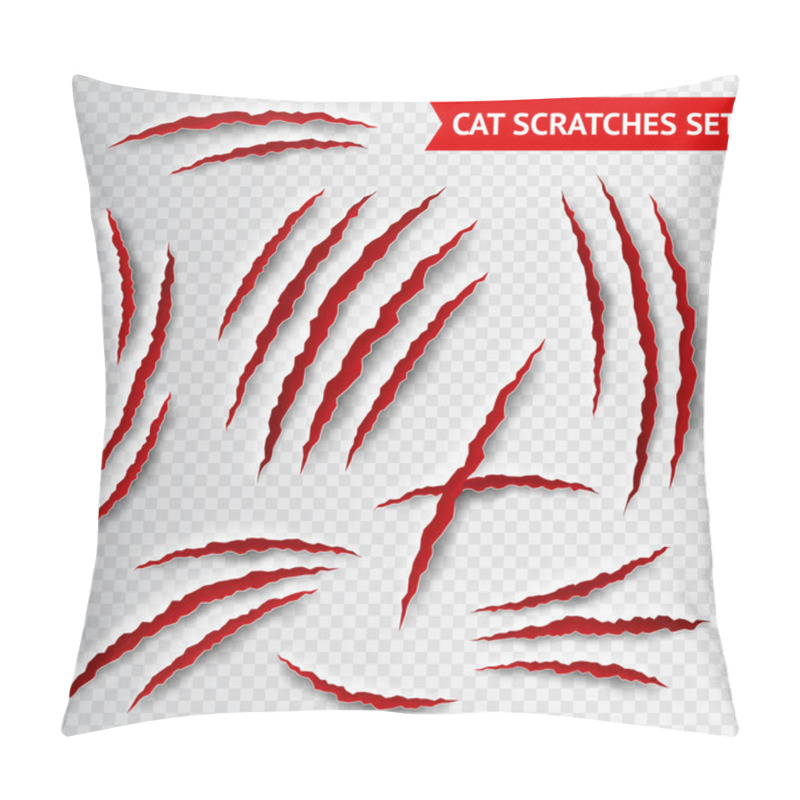 Personality  Cat scratches transparent pillow covers