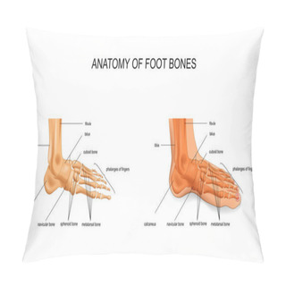 Personality  Vector Illustration Of Anatomy Of The Foot Bones Pillow Covers