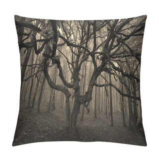 Personality  Dark Tree In A Forest With Fog Pillow Covers