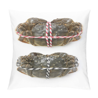 Personality  Raw Shanghai Hairy Crabs(male And Female) ,dorsal Side Pillow Covers
