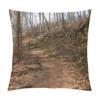 Personality  Dry Leaves On Pathway In Mountain Forest  Pillow Covers