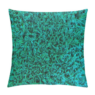Personality  Green Thuja Pillow Covers