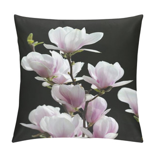 Personality  Tulip Magnolia (Magnolia X Soulangeana), Amabilis, Cultivated Variety Pillow Covers