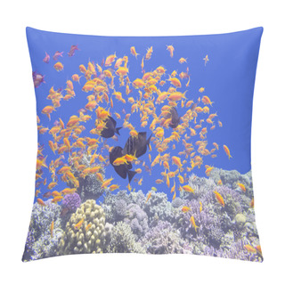 Personality  Colorful Coral Reef With Shoal Of Fishes Scalefin Anthias In Tropical Sea Pillow Covers