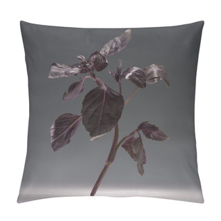 Personality  Branch Of Healthy Ripe Basil Pillow Covers