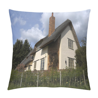Personality  Thatched Cottage Pillow Covers