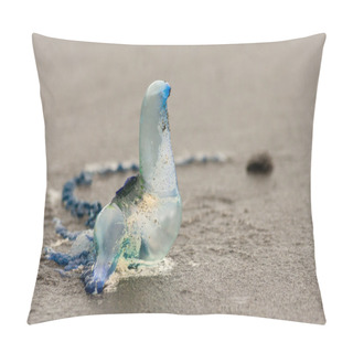 Personality  Detail Of Portuguese Man O'war Pillow Covers