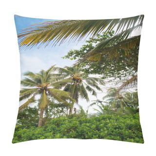 Personality  Rainforest With Coconut Palm Trees Pillow Covers
