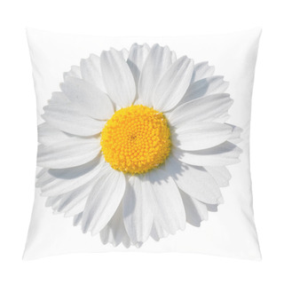 Personality  White Daisy Close-up Isolated On White Background. Object With Clipping Path. Pillow Covers