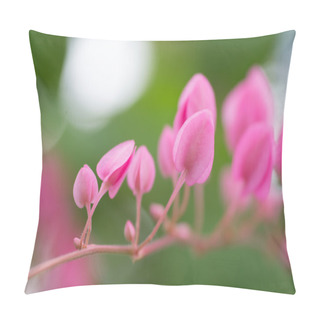 Personality  Coral Vine Plant With Blur Background Pillow Covers