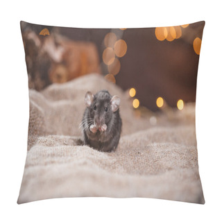 Personality  Brown  Domestic Rat Pillow Covers