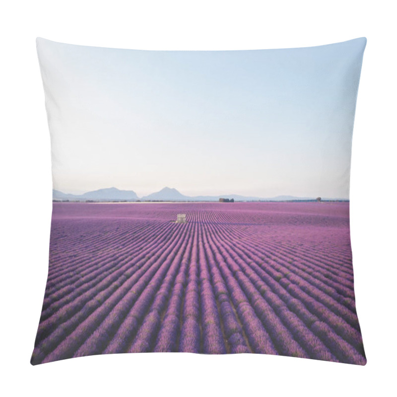Personality  purple pillow covers