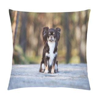 Personality  Brown Chihuahua Dog Sitting Outdoors Pillow Covers