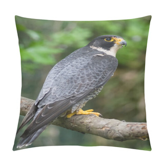Personality  Peregrine Falcon Falco Peregrinus Perched Branch Pillow Covers