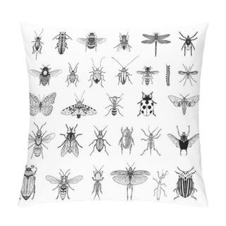 Personality  Collection Of Monochrome Illustrations Of Insects In Sketch Style. Hand Drawings In Art Ink Style. Black And White Graphics. Pillow Covers