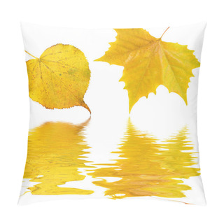 Personality  Beautiful Golden Leaves In Autumn Pillow Covers