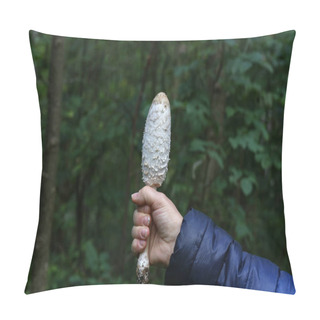 Personality  The Fungus Shaggy Ink Cap, Coprinus Comatus Pillow Covers