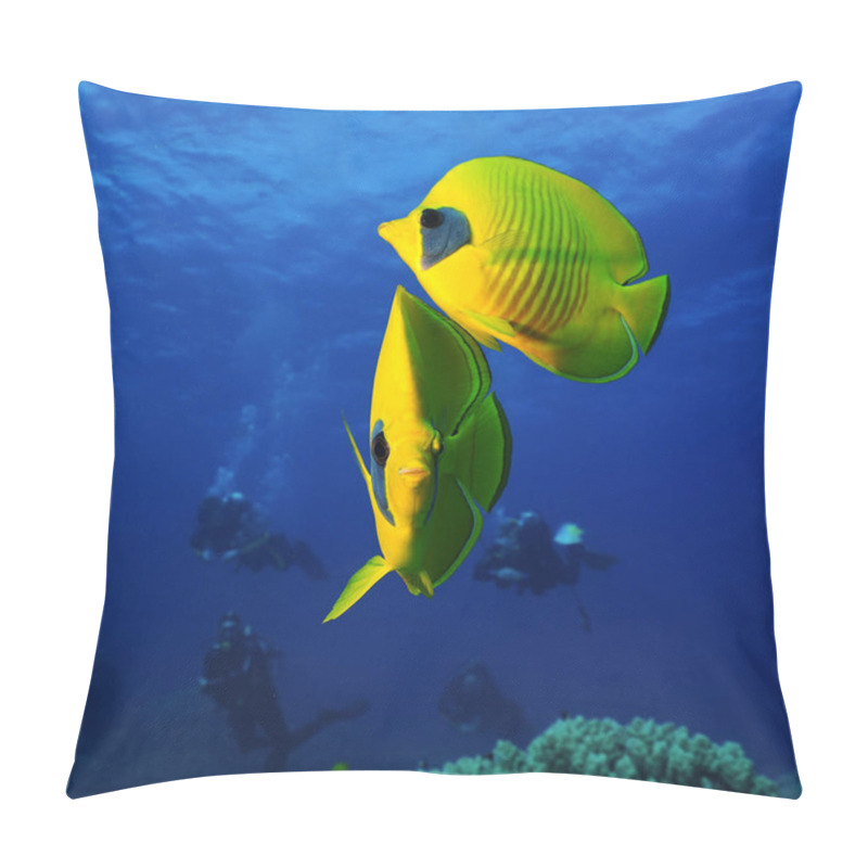 Personality  BUTTERFLY FISHES OF THE RED SEA pillow covers