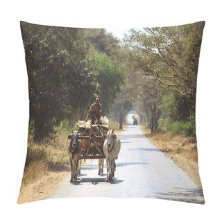 Personality  Burmese Rural Man Driving Wooden Cart With Hay On Road Drawn By Two White Buffaloes Pillow Covers