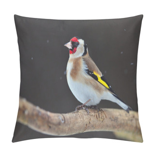 Personality  Goldfinch Pillow Covers