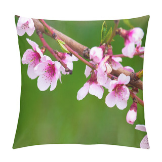 Personality  Peach Blossom Pillow Covers